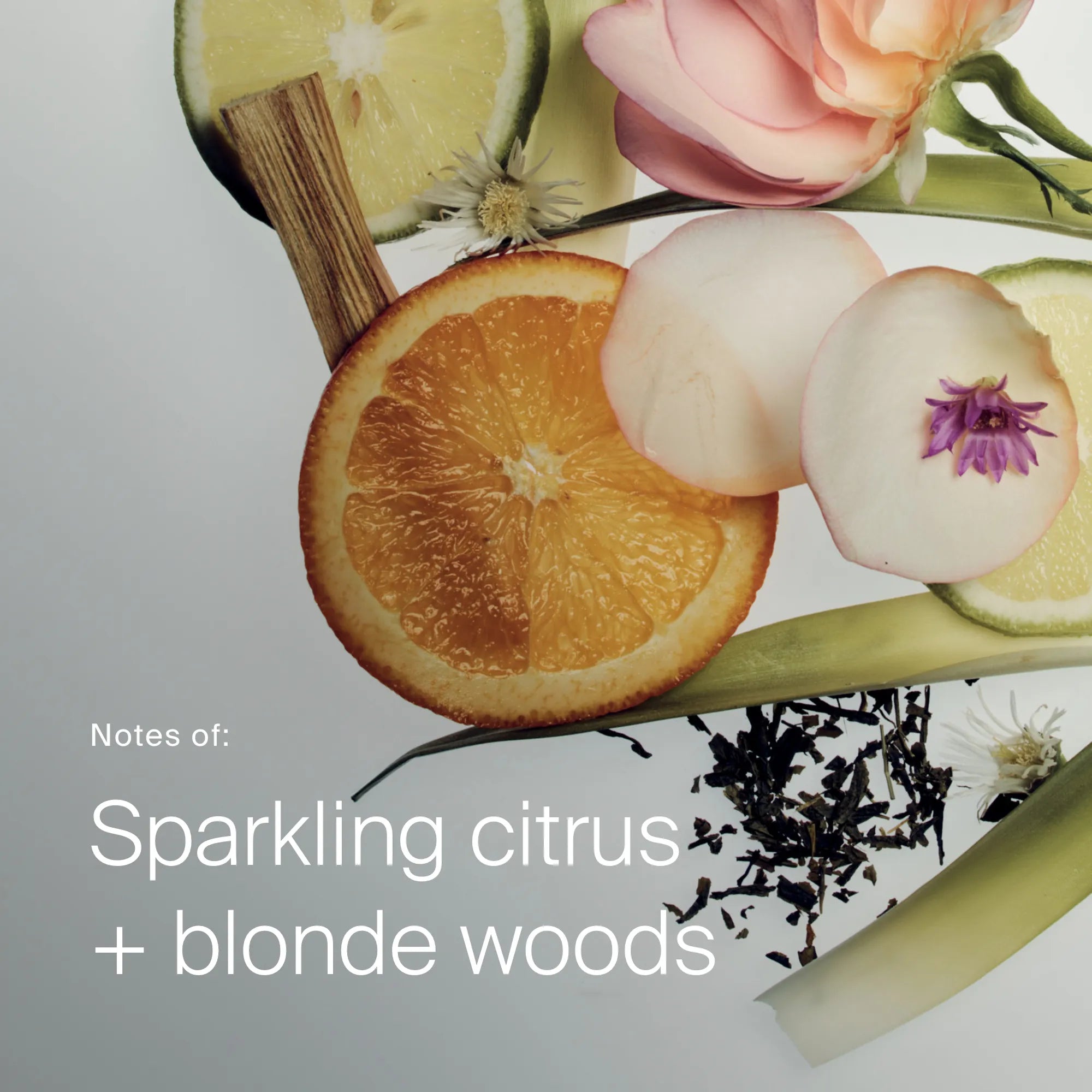 Curl Shampoo - Image 7