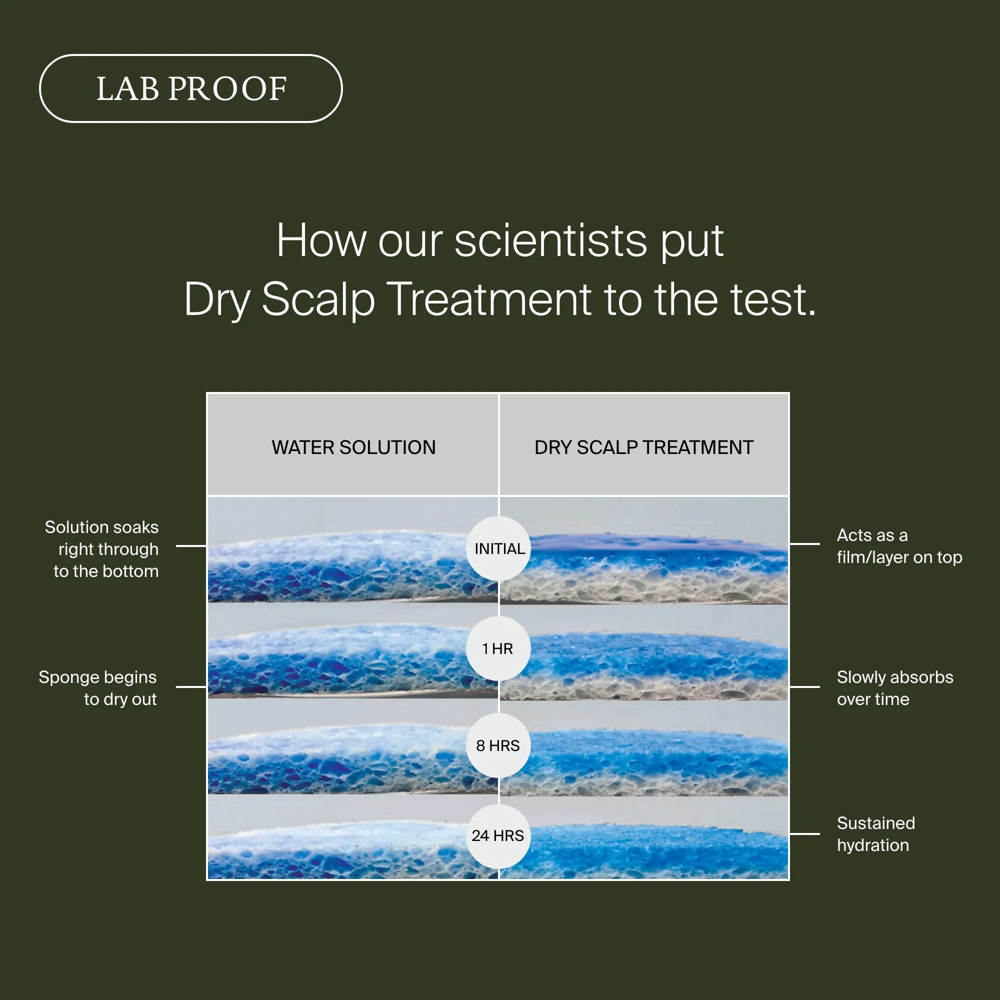Scalp Care Dry Scalp Treatment - Image 6